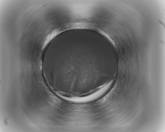 X0000095541461200712281533