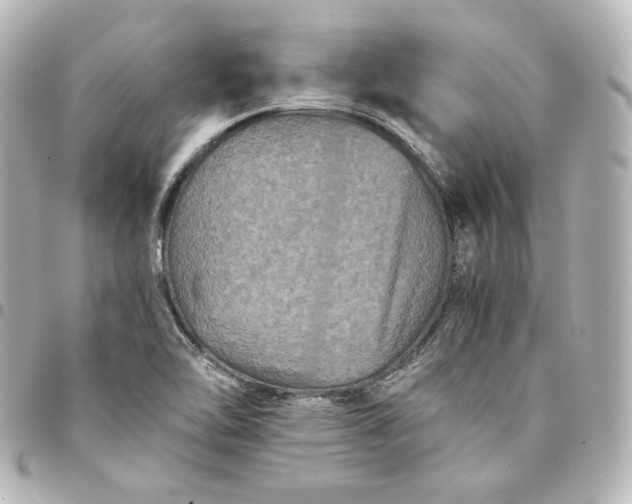 X0000095541462200712281533