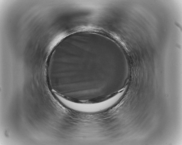 X0000095541463200712281533