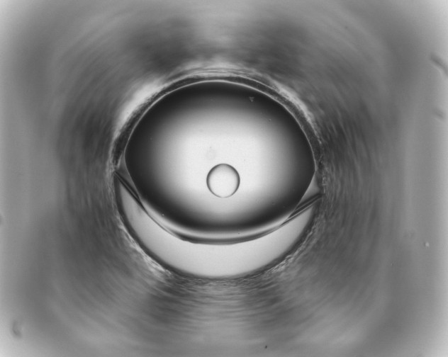 X0000095541464200712281533