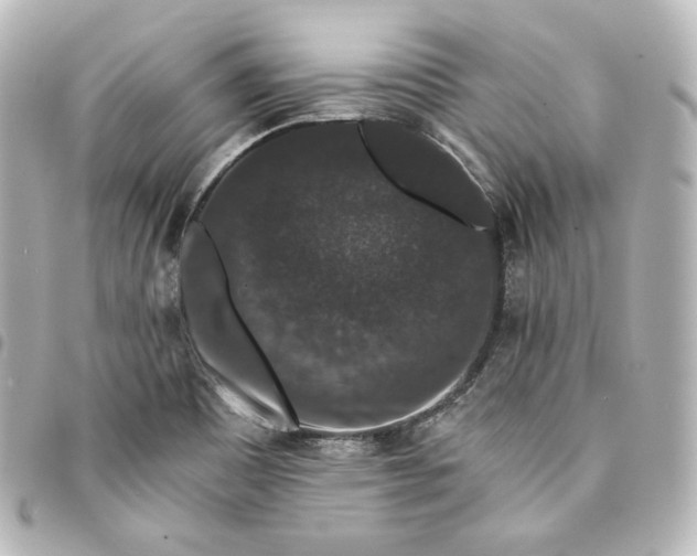 X0000095541465200712281533