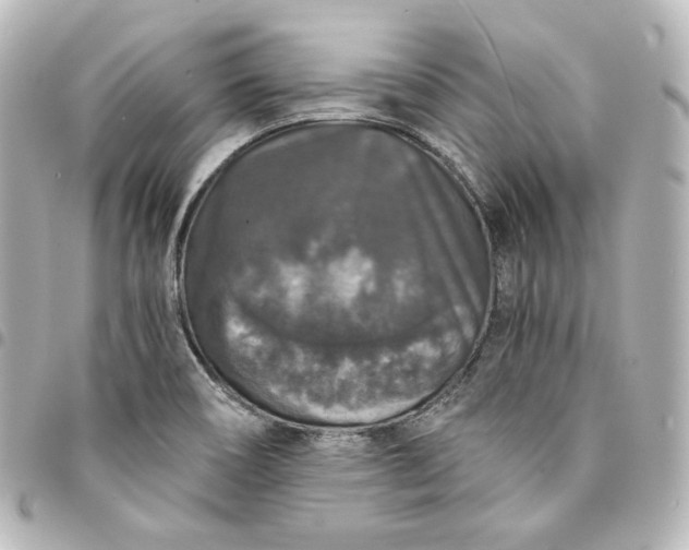 X0000095541466200712281533