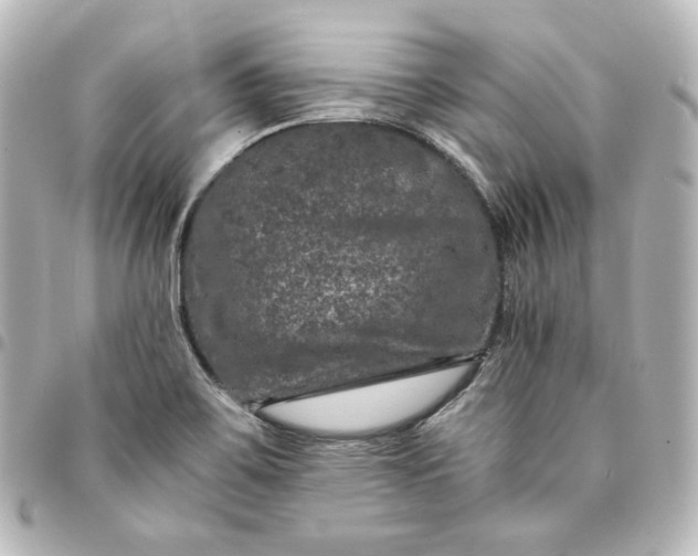 X0000095541467200712281533