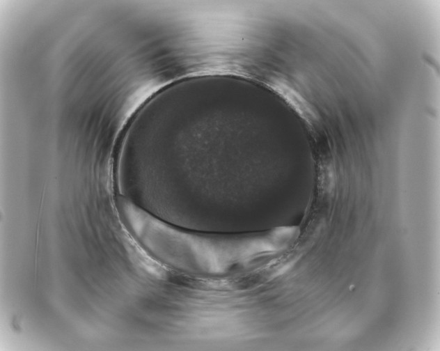 X0000095541468200712281533