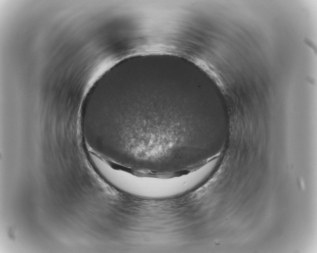 X0000095541469200712281533