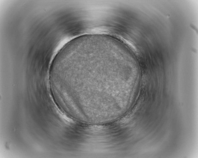 X0000095541470200712281533