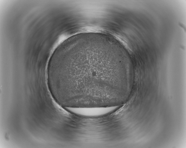 X0000095541471200712281533