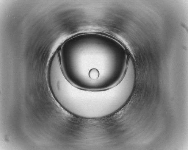 X0000095541472200712281533