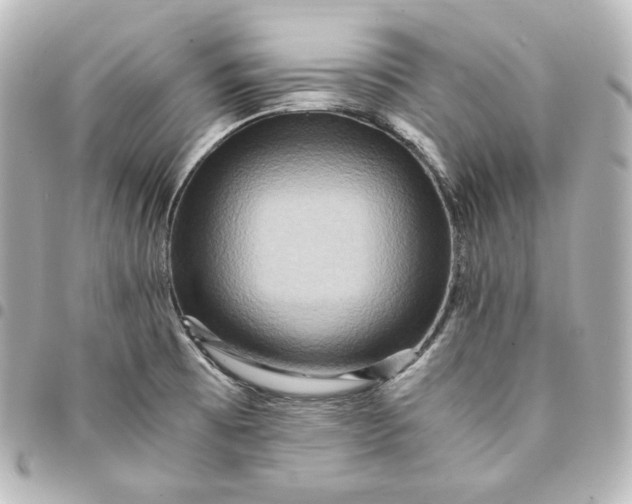 X0000095541473200712281533