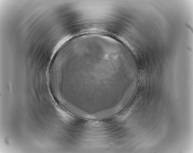 X0000095541474200712281533