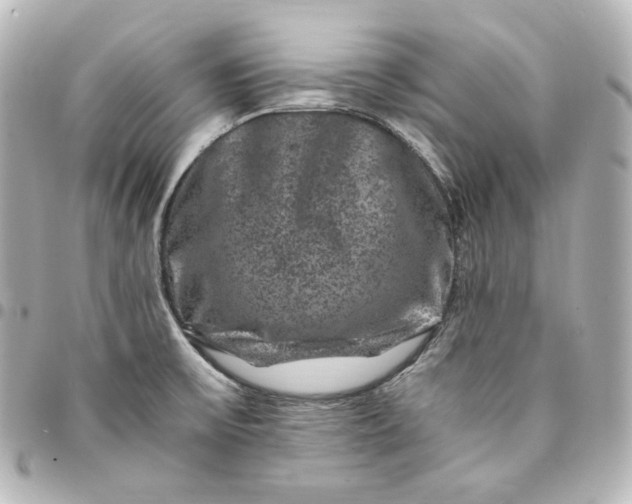 X0000095541475200712281533