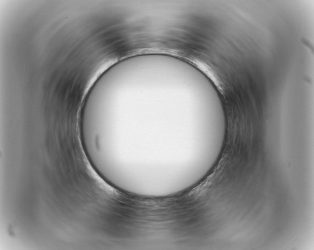 X0000095541476200712281533