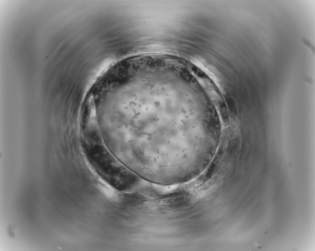 X0000095541477200712281533