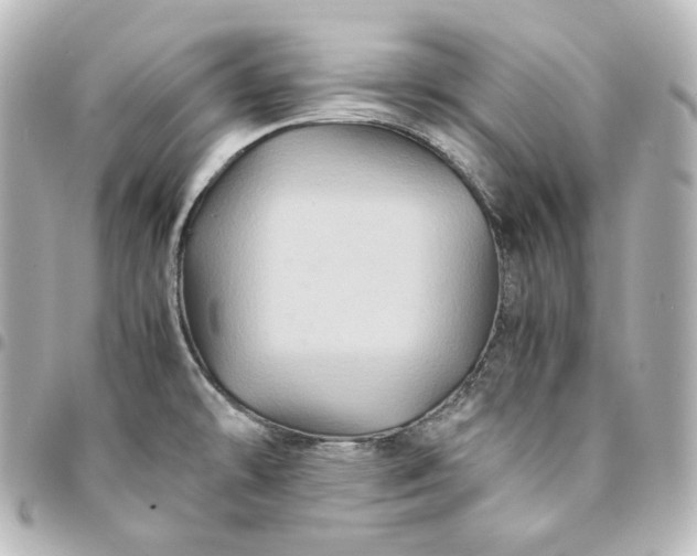 X0000095541478200712281533