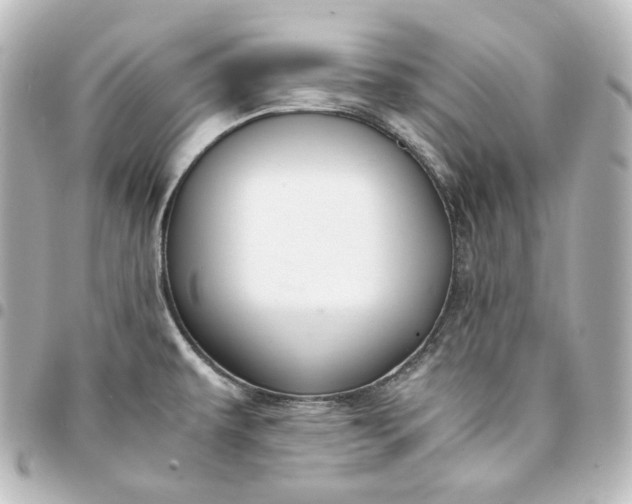 X0000095541479200712281533