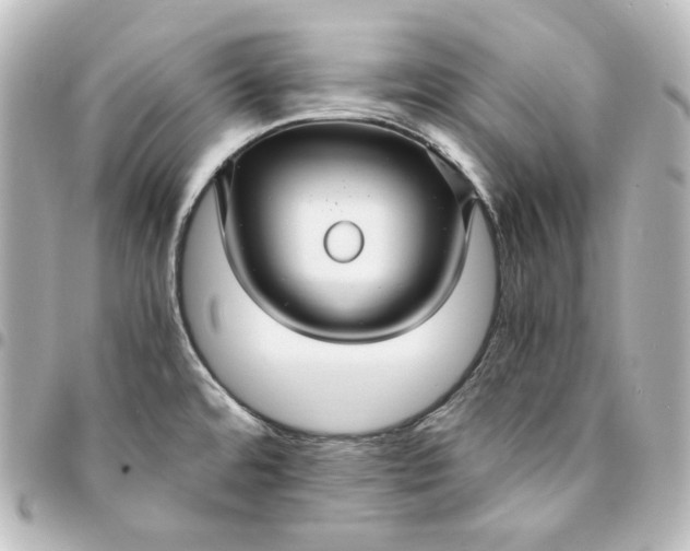 X0000095541480200712281533