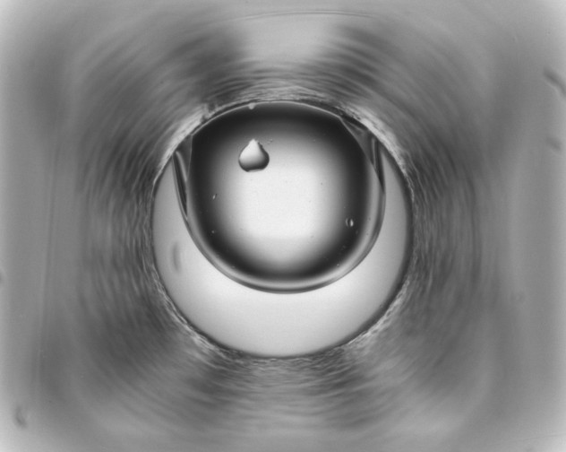 X0000095541481200712281533