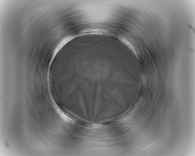 X0000095541482200712281533