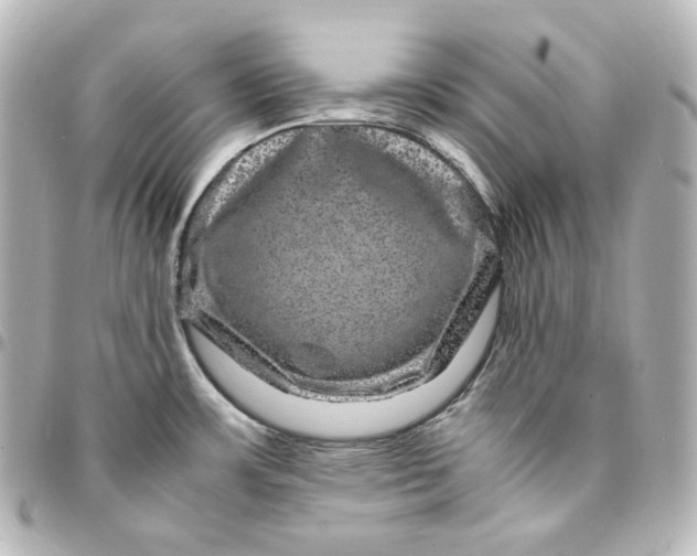 X0000095541483200712281533