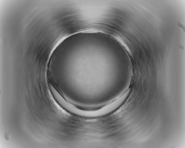 X0000095541484200712281533