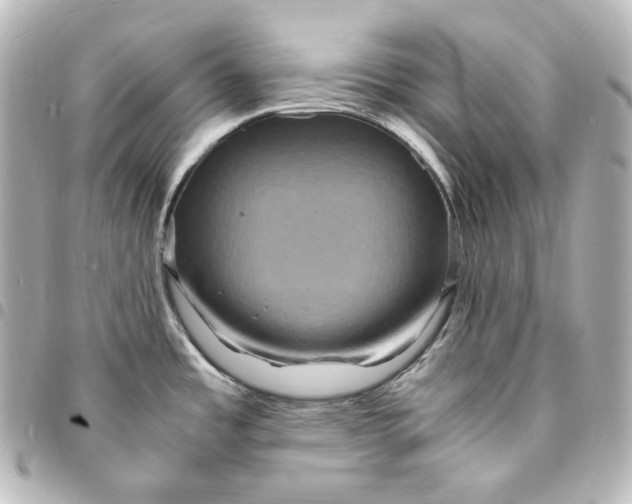 X0000095541485200712281533