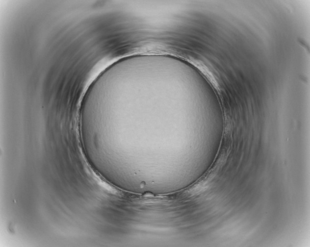 X0000095541486200712281533