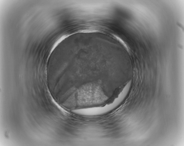 X0000095541487200712281533