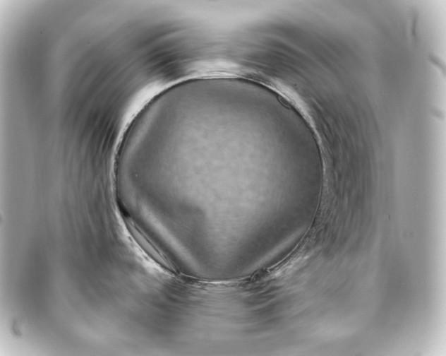 X0000095541488200712281533