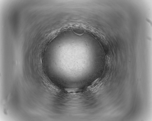 X0000095541489200712281532