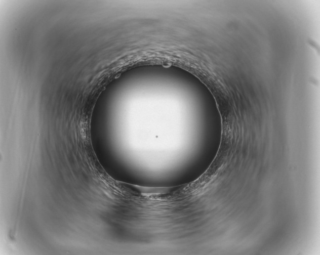 X0000095541490200712281532