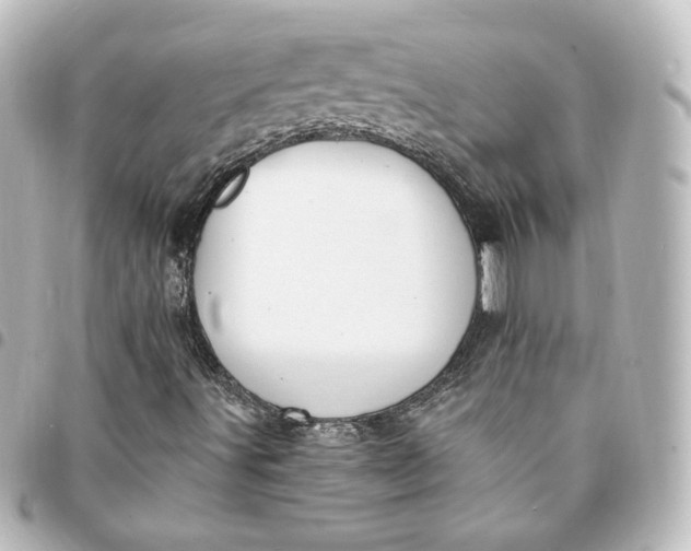 X0000095541491200712281532