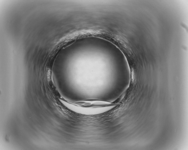 X0000095541492200712281532