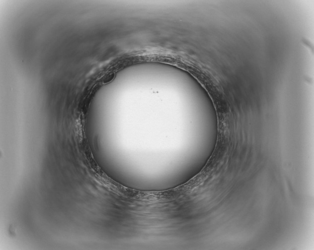 X0000095541493200712281532