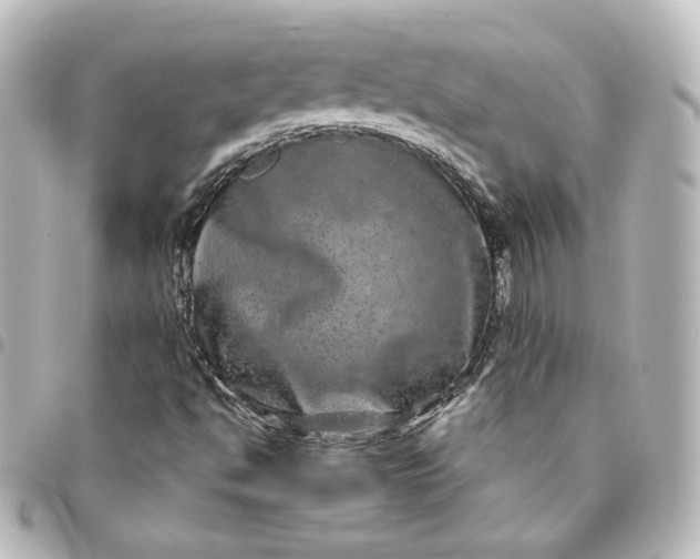 X0000095541494200712281532