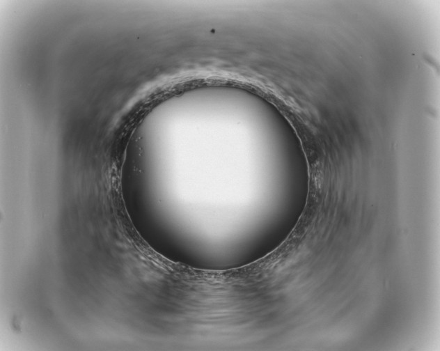 X0000095541495200712281532