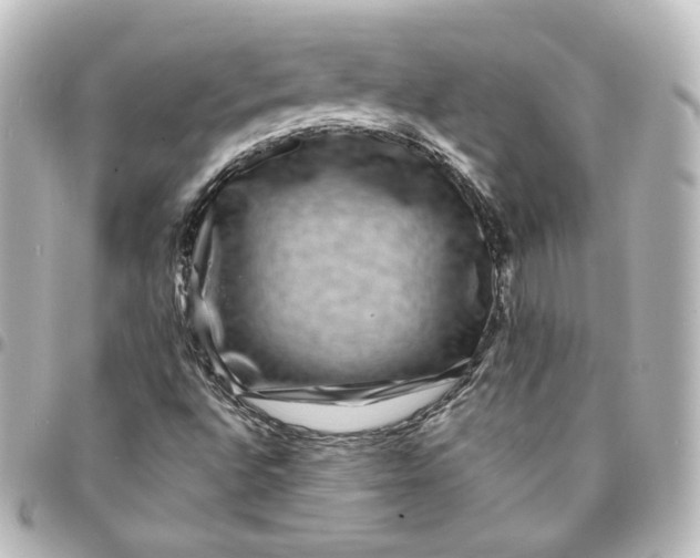 X0000095541496200712281532