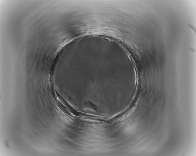 X0000095541497200712281532