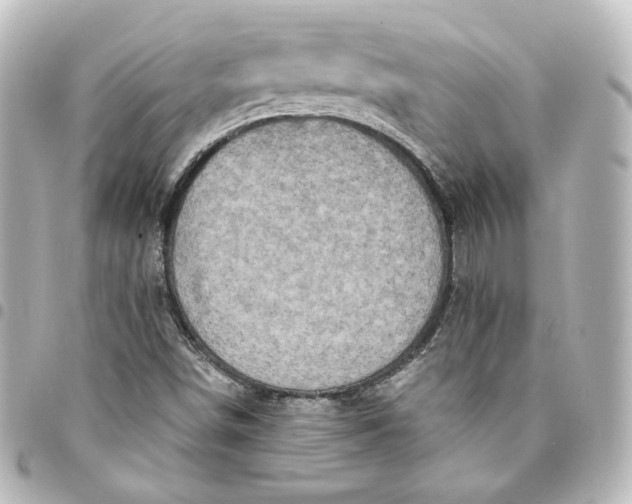 X0000095541498200712281532