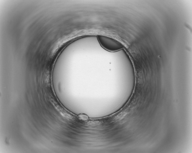 X0000095541499200712281532