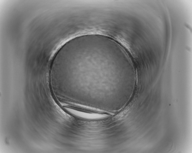 X0000095541500200712281532