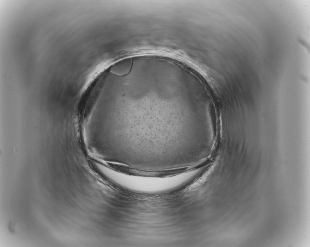 X0000095541501200712281532