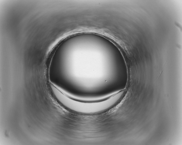 X0000095541502200712281532