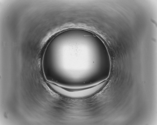 X0000095541503200712281532