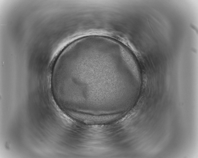 X0000095541504200712281532