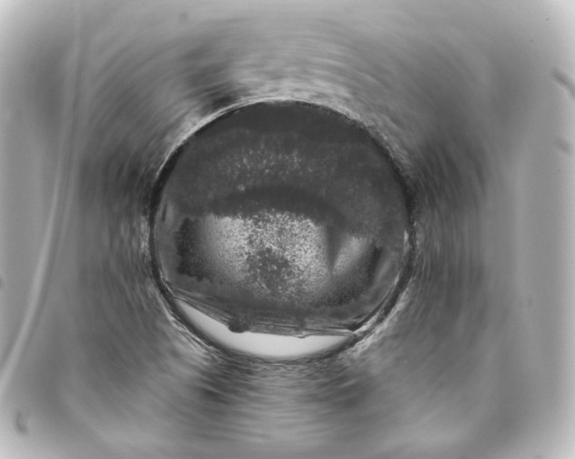 X0000095541505200712281532