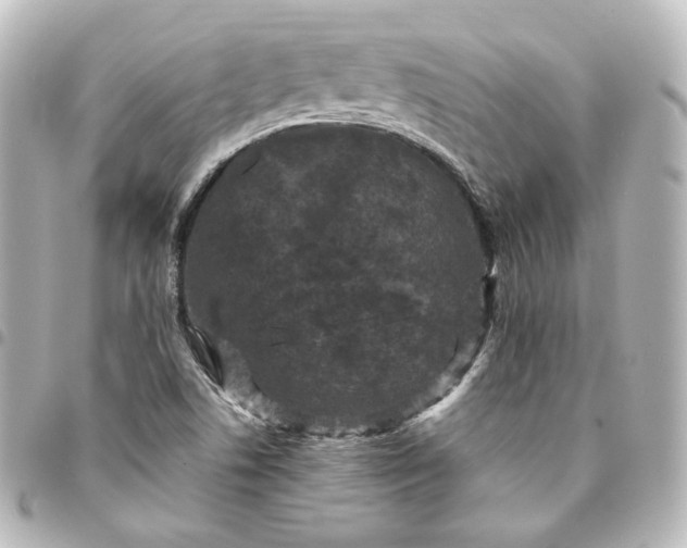 X0000095541506200712281532