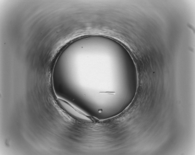 X0000095541507200712281532