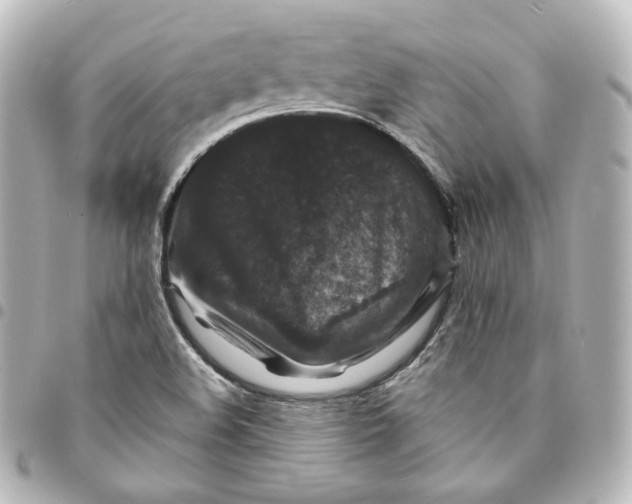 X0000095541508200712281532