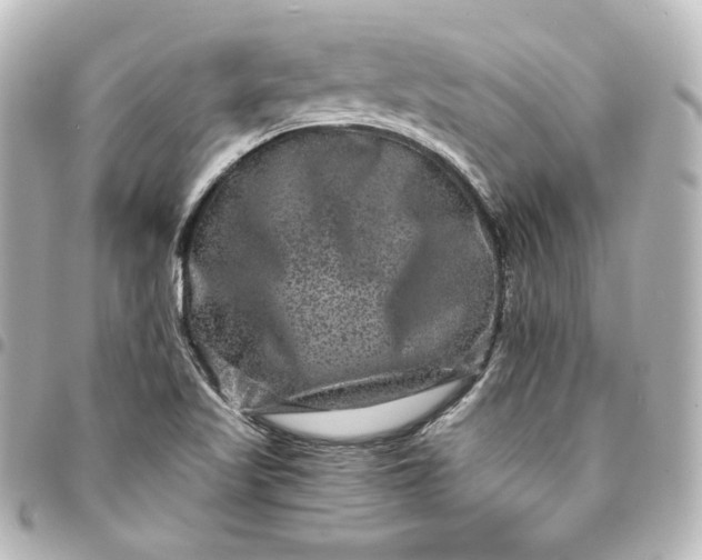 X0000095541509200712281532