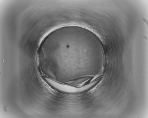 X0000095541510200712281532